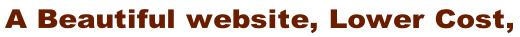 A Beautiful website, Lower Cost,