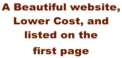 A Beautiful website,  Lower Cost, and  listed on the  first page