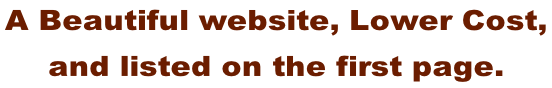 A Beautiful website, Lower Cost,  and listed on the first page.